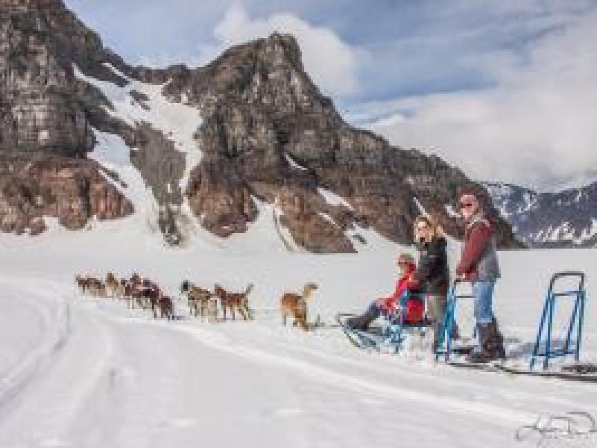 Glacier Dog Sledding - Seward Helicopters