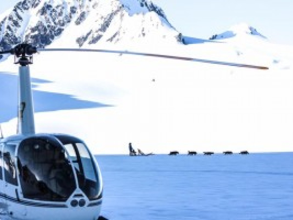 Glacier Dog Sledding - Seward Helicopters
