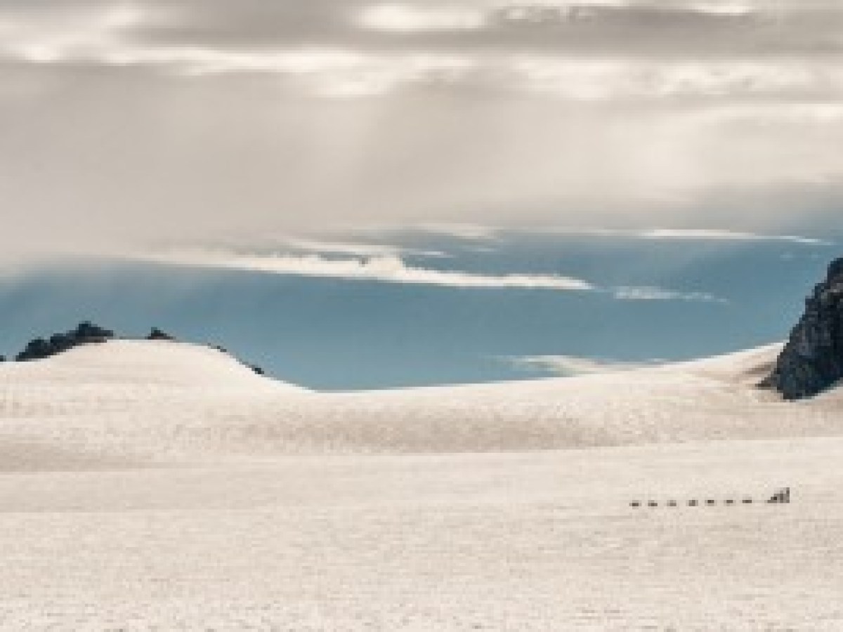 Glacier Dog Sledding - Seward Helicopters