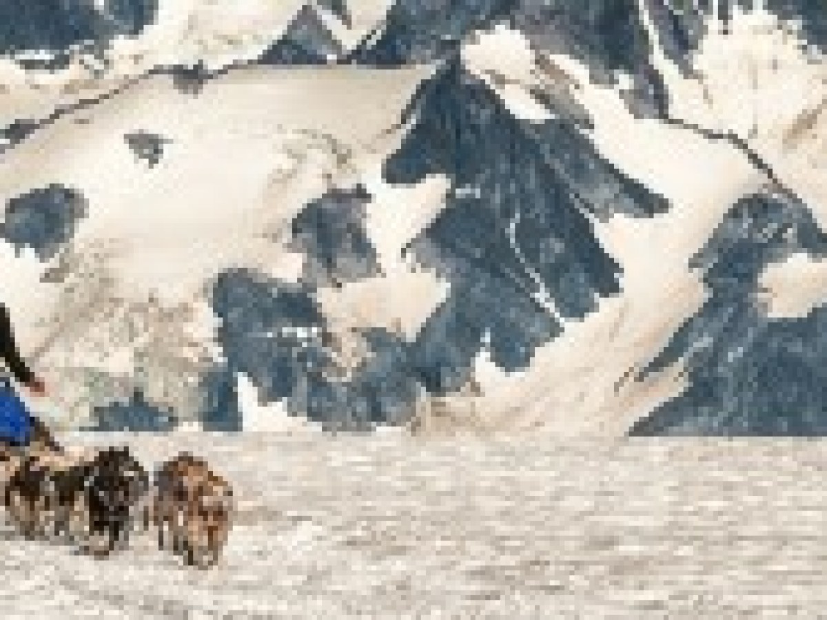 Glacier Dog Sledding - Seward Helicopters