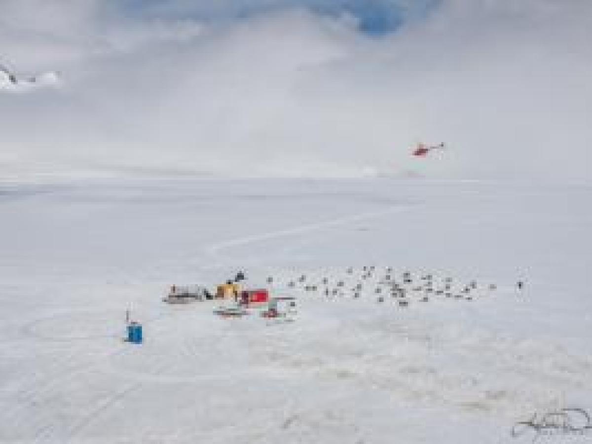 Glacier Dog Sledding - Seward Helicopters