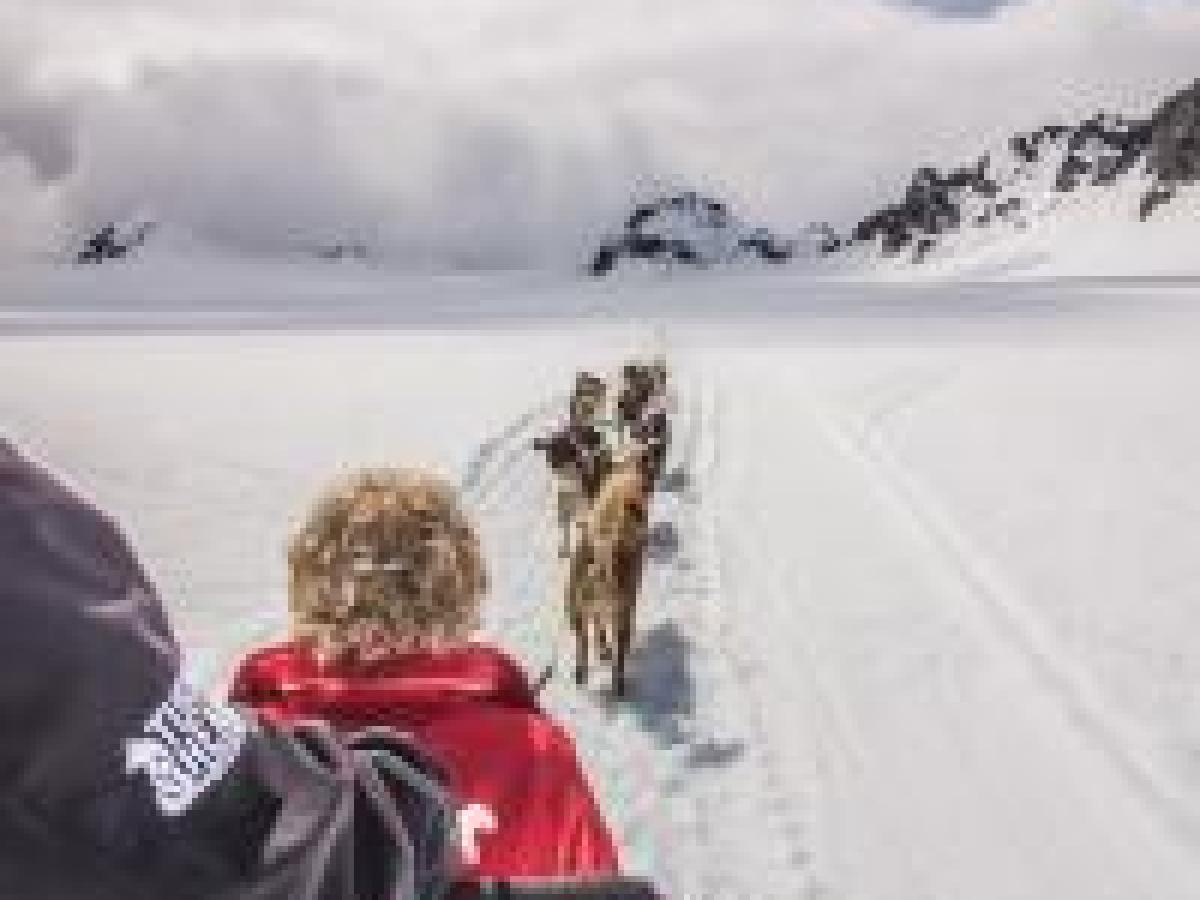 Glacier Dog Sledding - Seward Helicopters