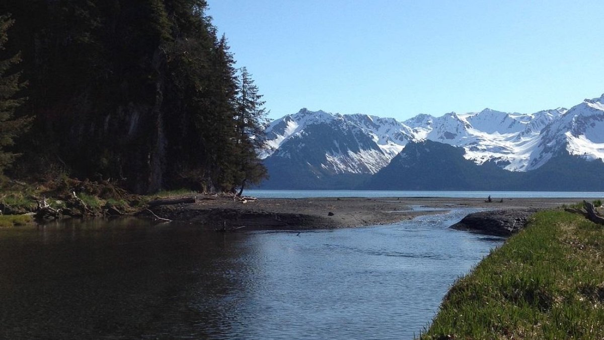 a close up of a hillside next to a body of water