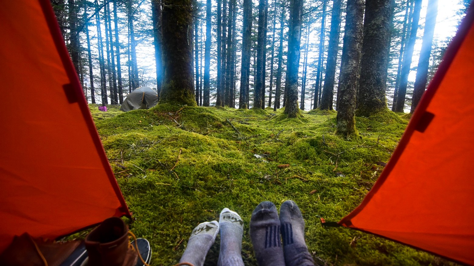 camping in the forest near Seward
