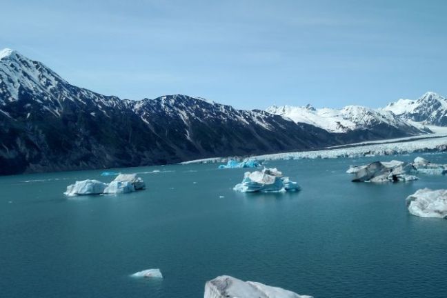 Chunks of glacier in the bay in Seward