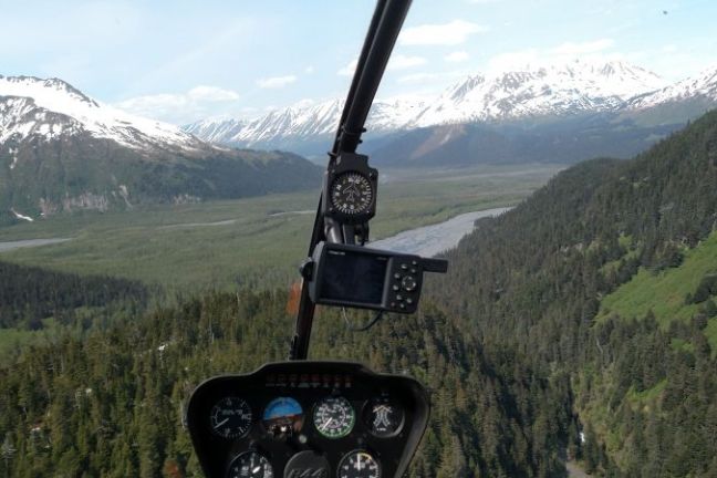 view of the forest from inside of a helicopter