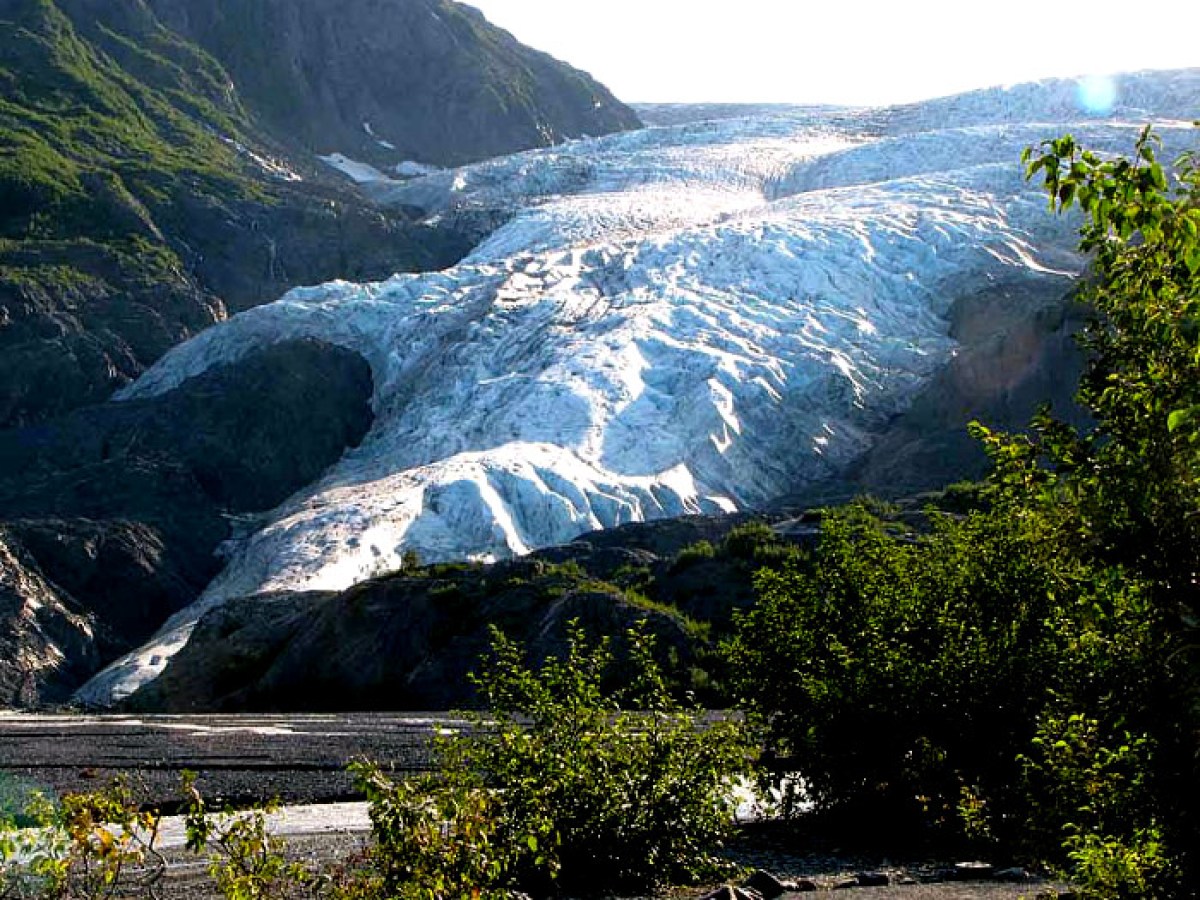 Dogsledding -- Seavey's IdidaRide
