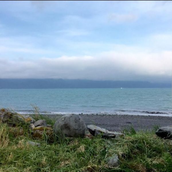 The Beach...only steps away