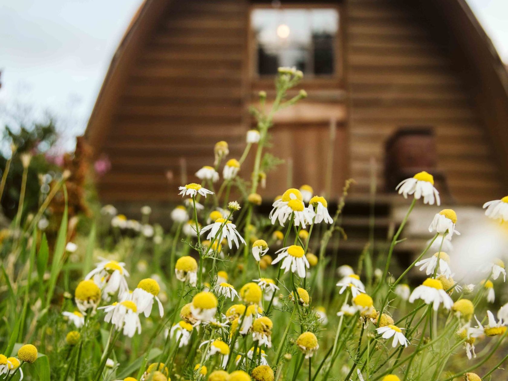 Seaside Cabin in Seward, AK