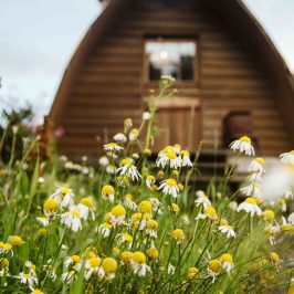 Seaside Cabin in Seward, AK