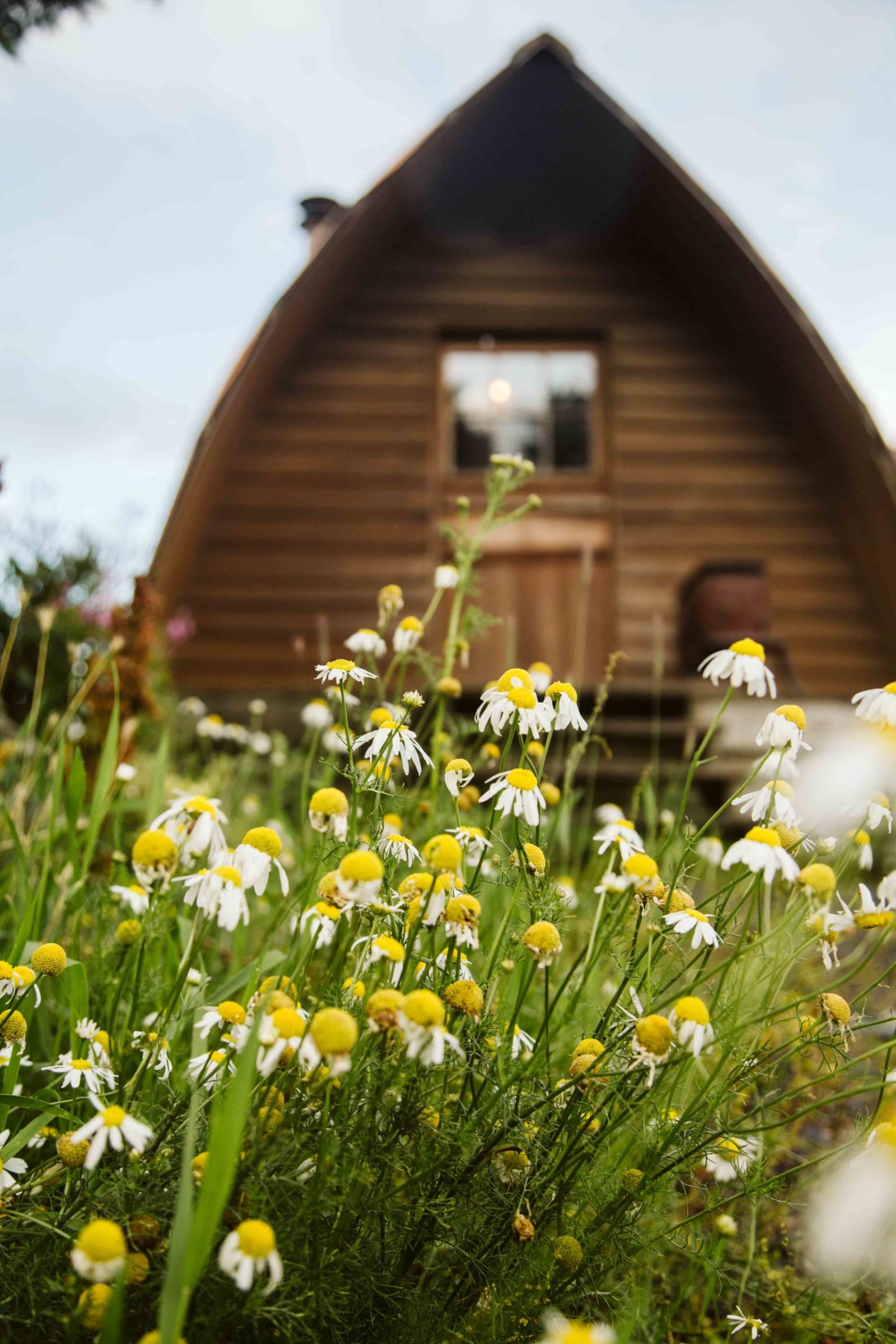 Seaside Cabin in Seward, AK