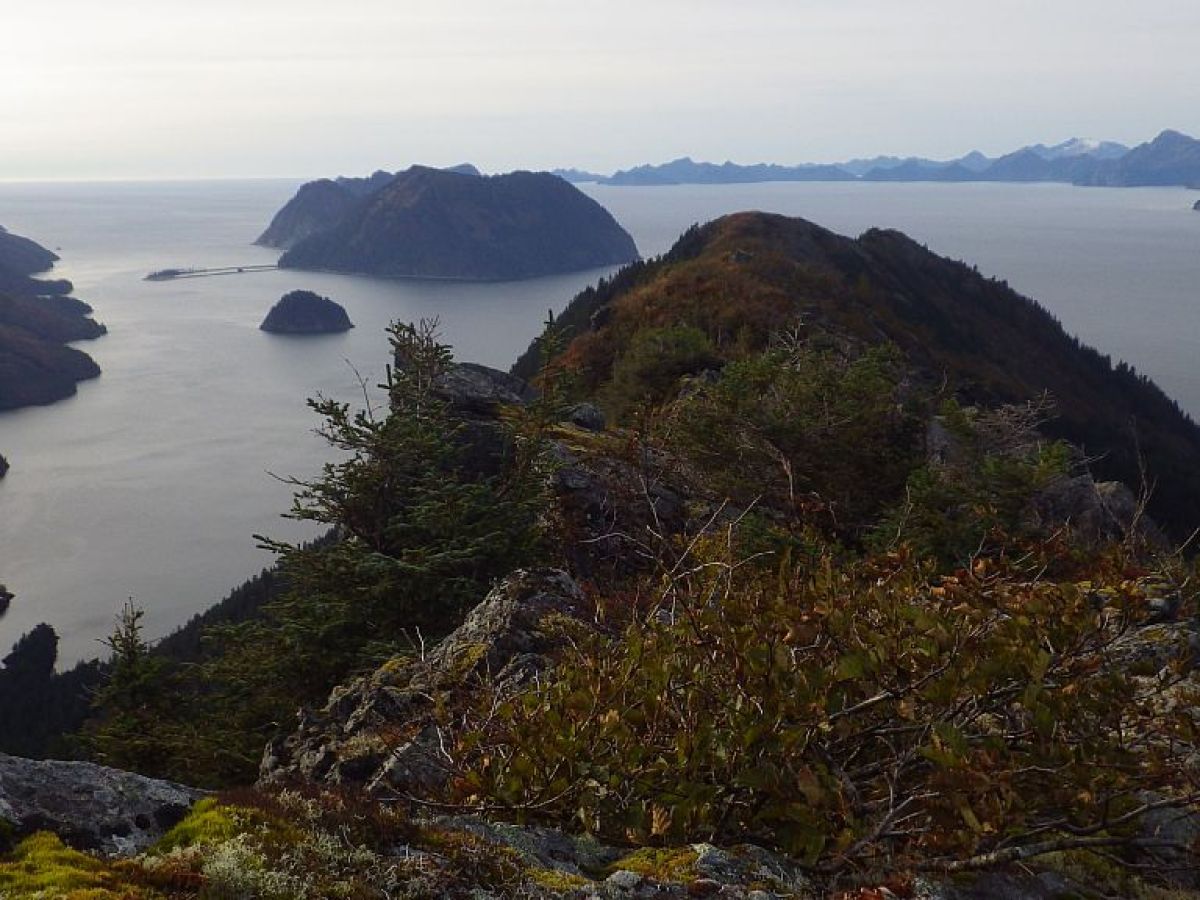 Mountain hike over Resurrection Bay near Seward Alaska