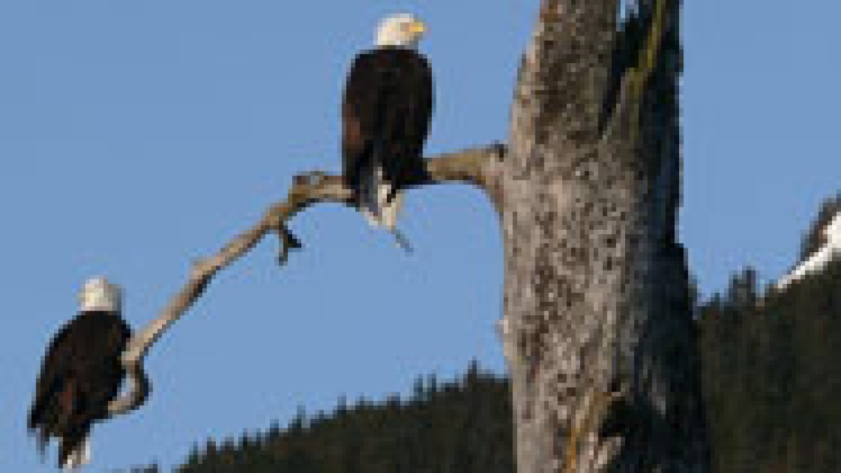 Bay Suite in Seward Alaska