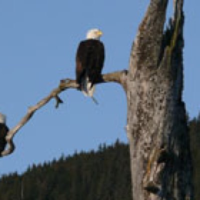 Bay Suite in Seward Alaska