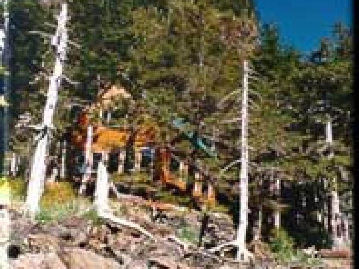 Kayaker's Camping Hostel and Cabins