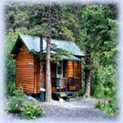 Exit Glacier Cabin in the woods near Seward
