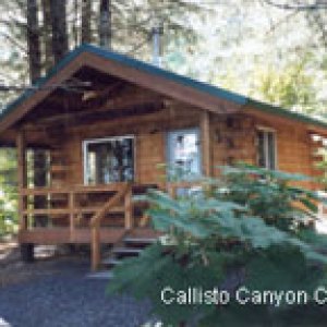 State Park Remote Cabins