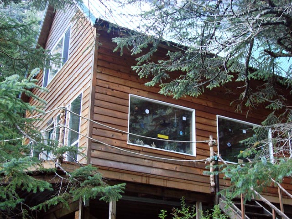 Kayaker's Camping Hostel and Cabins