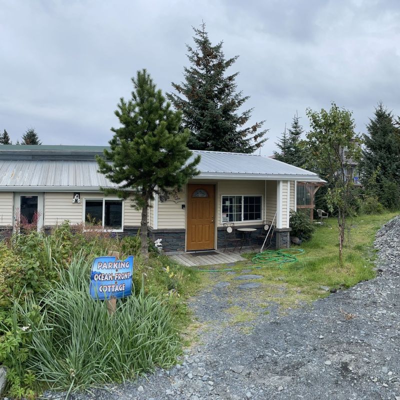 a tree in front of a house