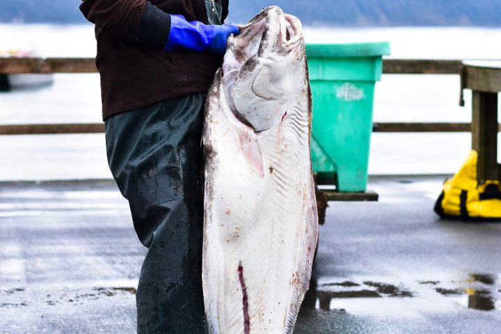 a person holding a fish