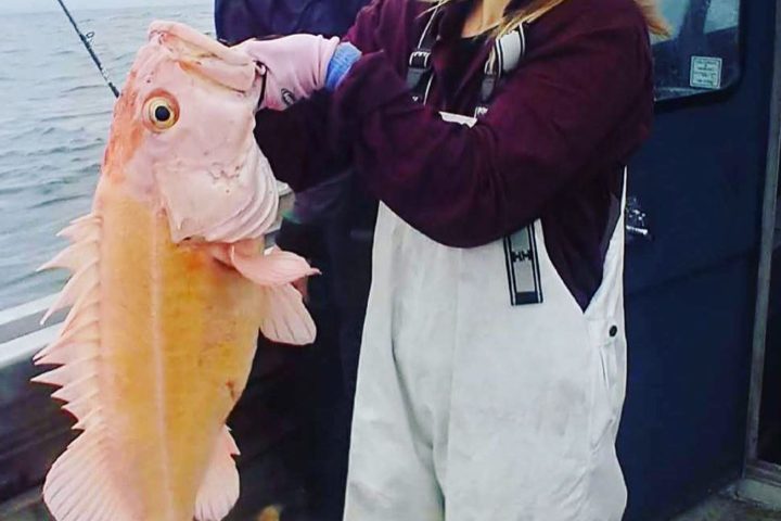 a person holding a fish