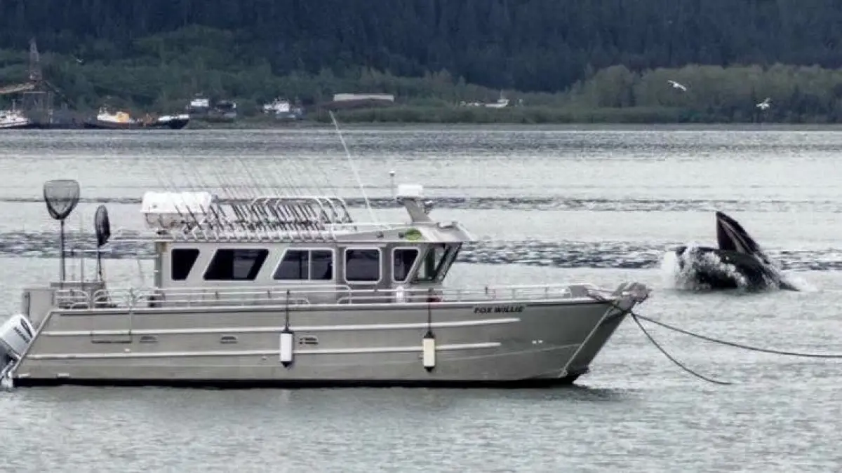 a small boat in a body of water