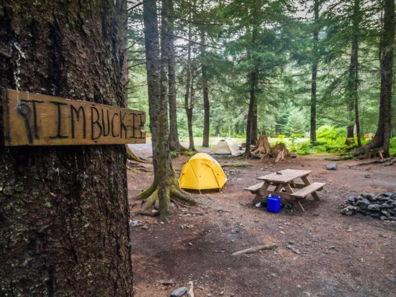 Camp TimBuck2
