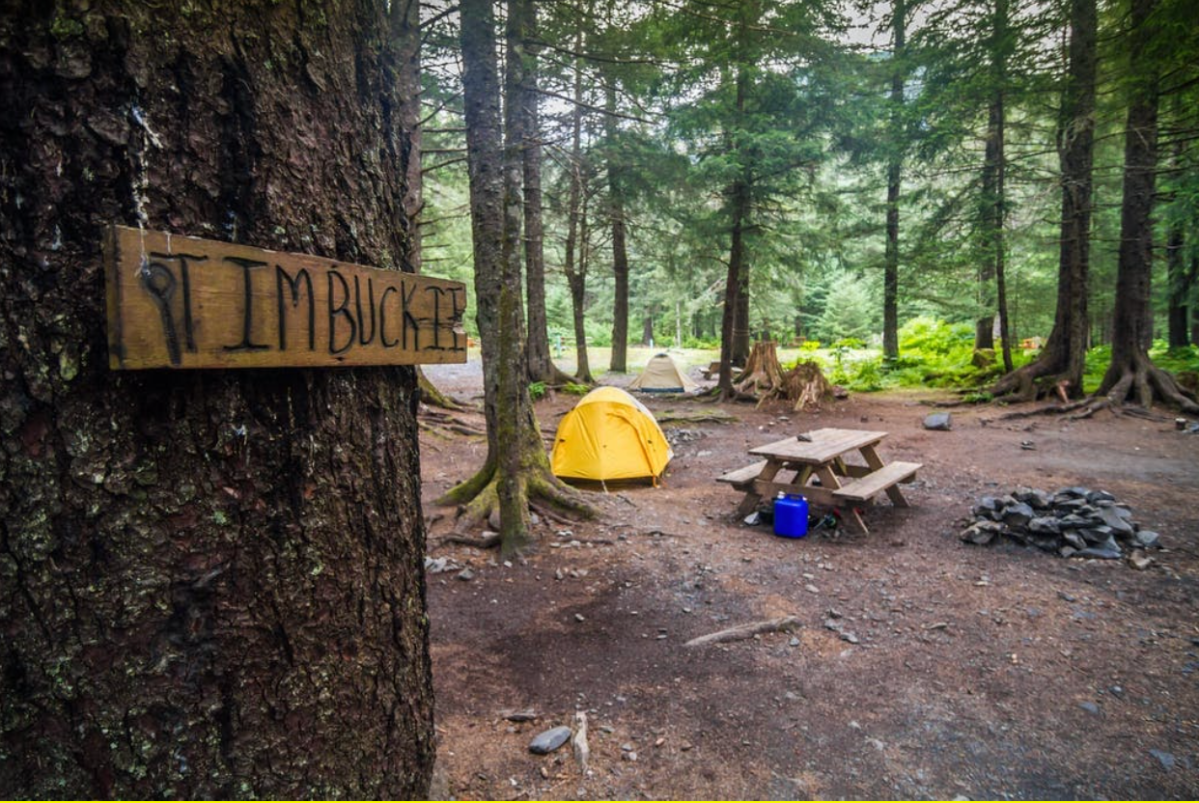 Miller's Landing Campground Miller's Landing in Seward Alaska