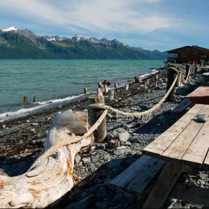 Beachfront RV site, Miller's Landing, Seward, AKSeaside Beach Seward Alaska Kayaking Fishing Lodging Camping Guided Trips