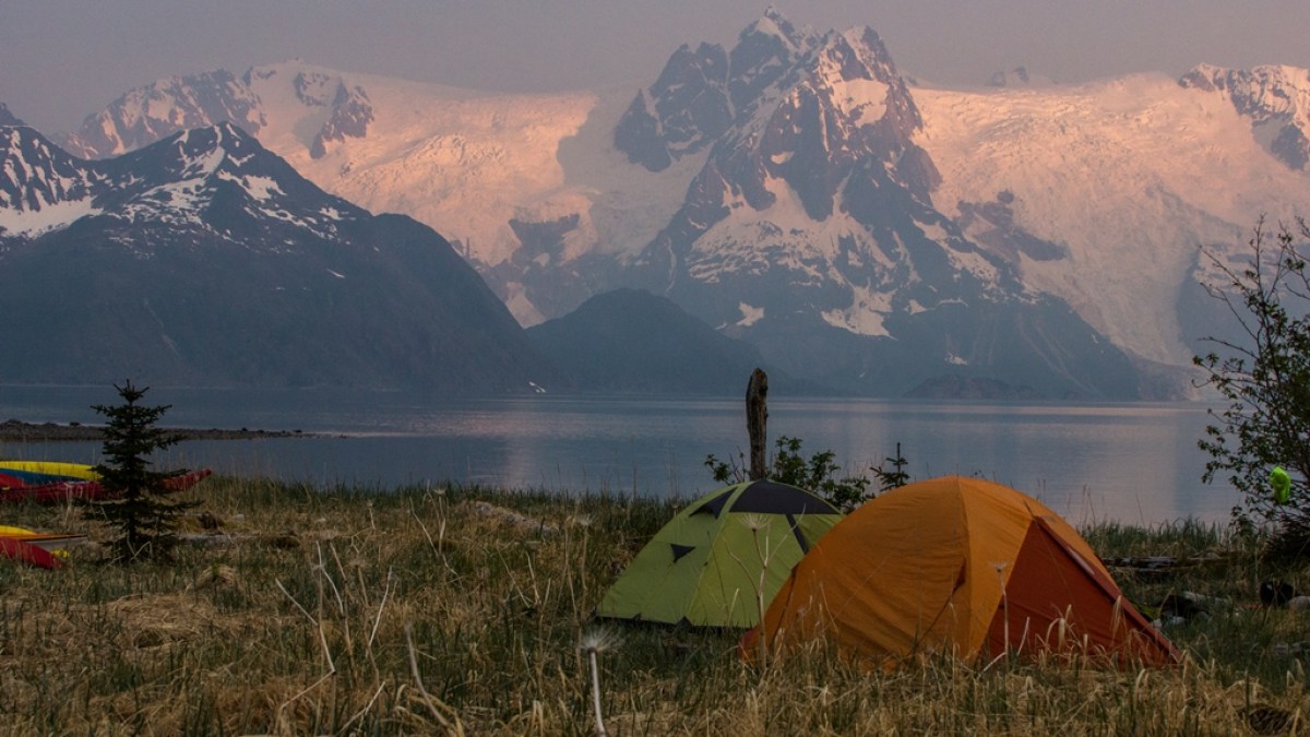 a tent in a field with a mountain in the background