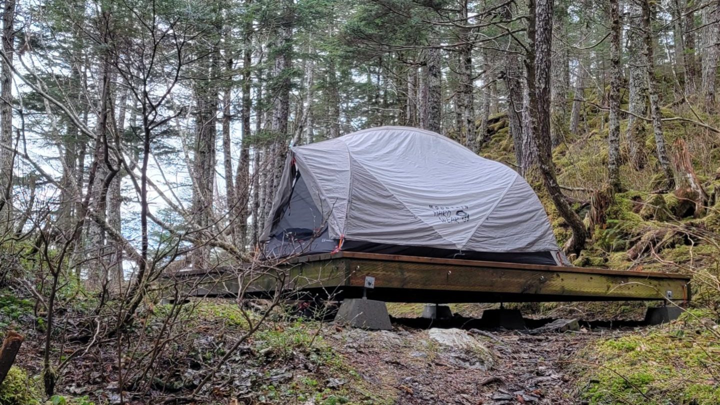 a tent in a wooded area