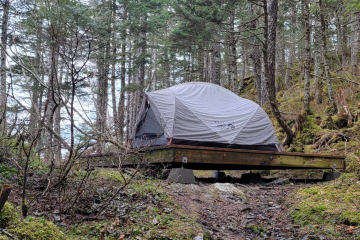 a tent in a wooded area