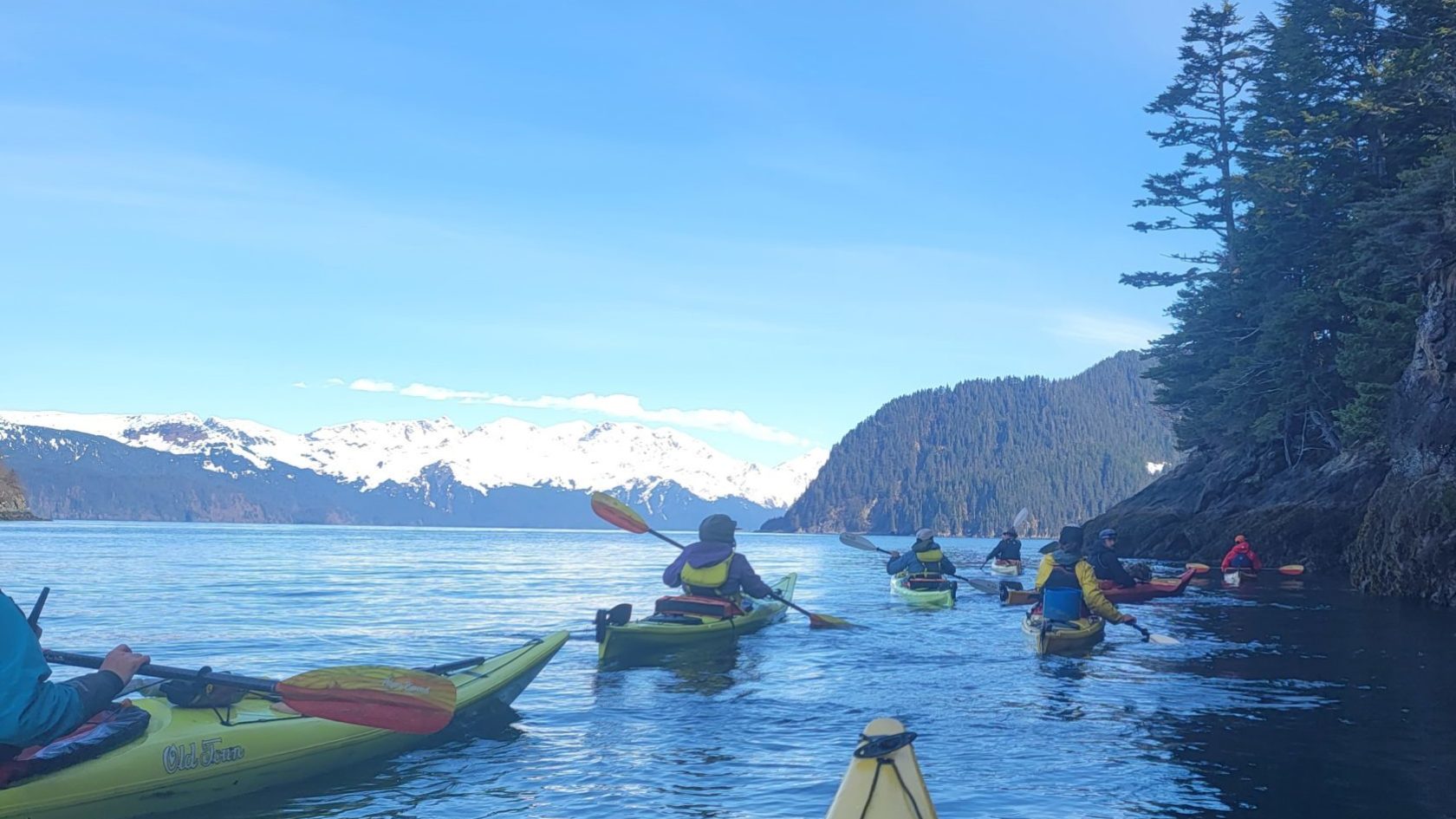 a group of people in kayaks in a body of water