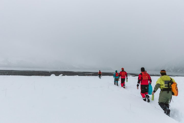 a group of people skiing on the snow