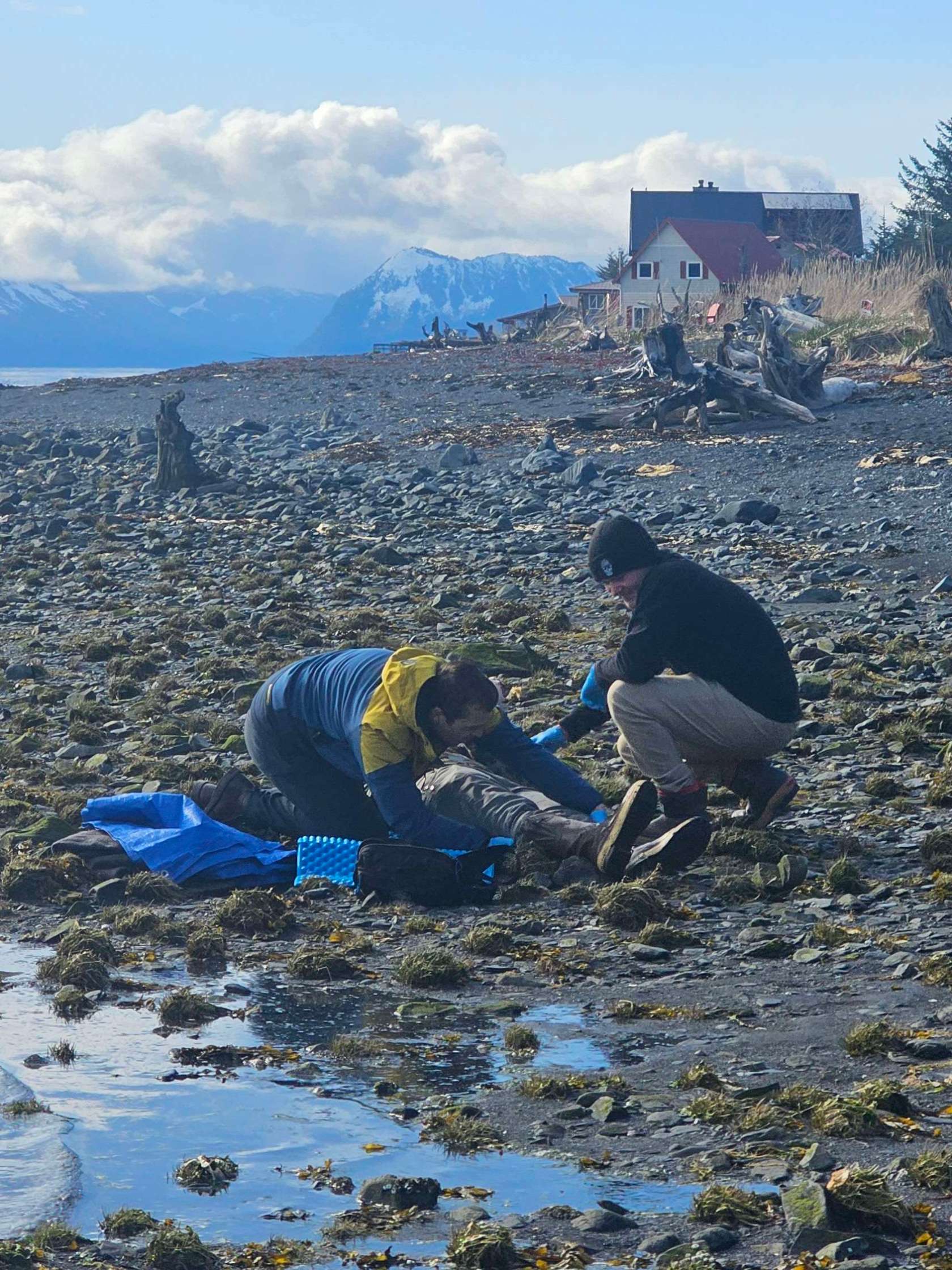 Two people kneeling on a rocky beach with snowy mountains in the background.