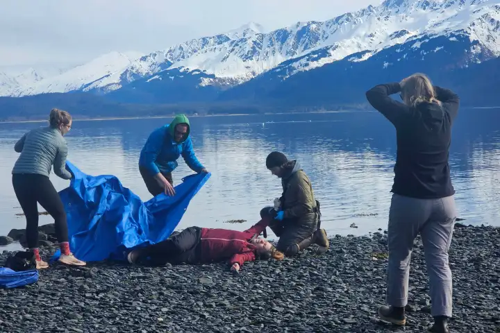 People help a person lying on a rocky shore with snowy mountains in the background.