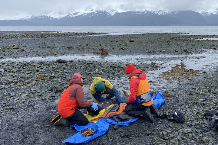 Three people kneeling on a rocky beach with snowy mountains in the background, tending to a person on a tarp.
