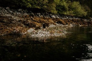 a river running through a body of water