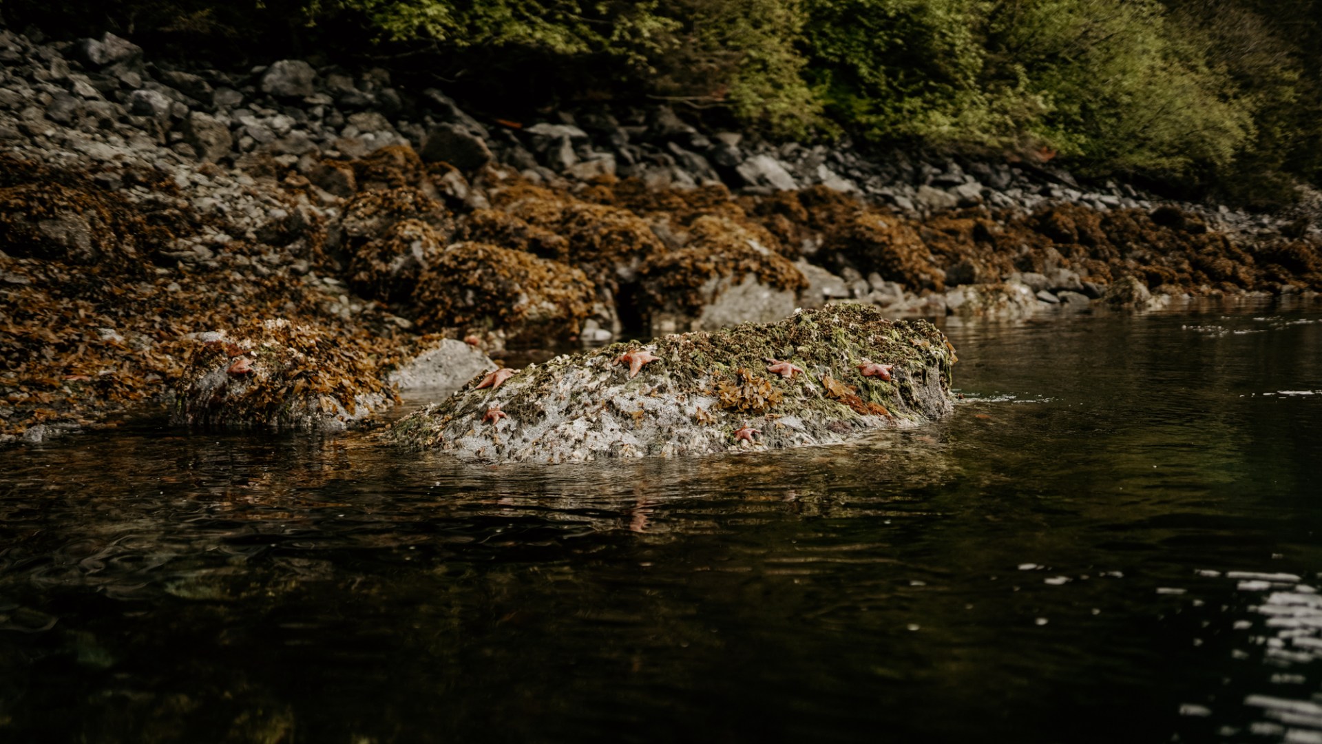 a river running through a body of water
