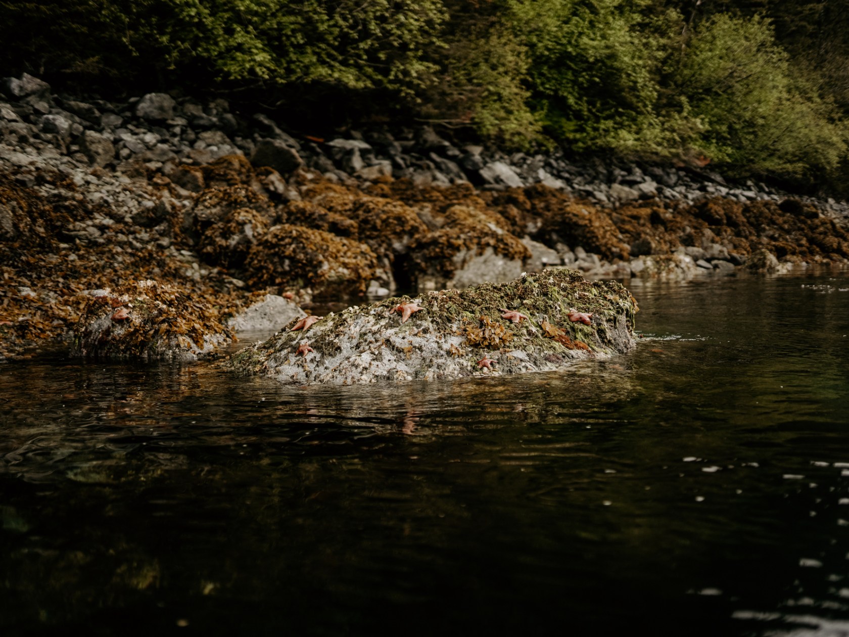 a river running through a body of water