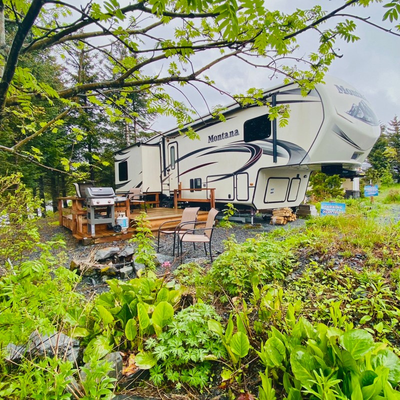 a close up of a garden