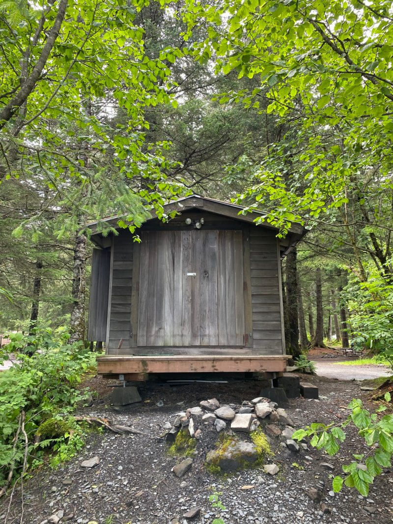 a house with bushes in the background
