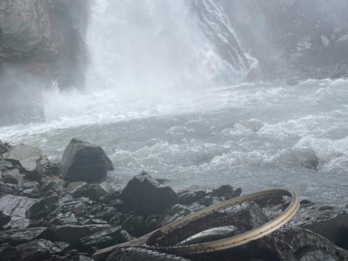 a waterfall with a fish net and salmons