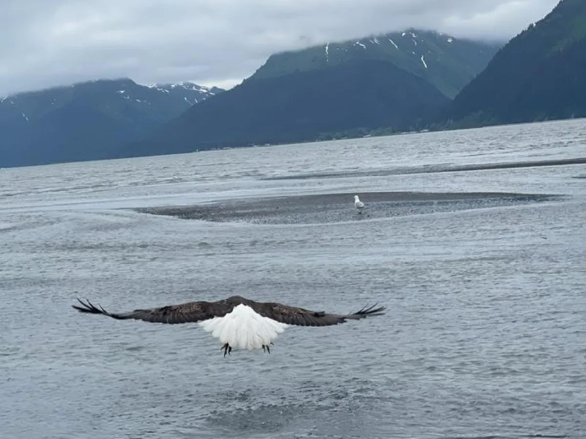 a large body of water with a mountain in the background