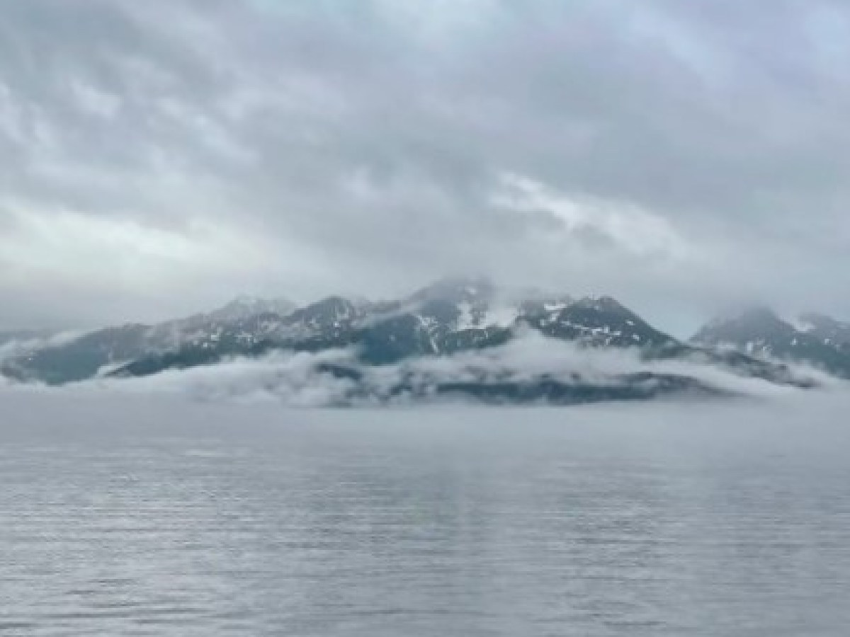 a dog standing next to a body of water