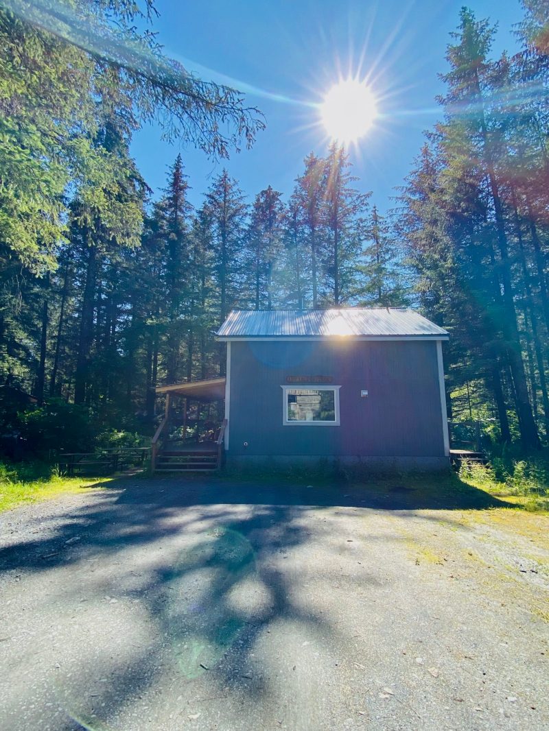 a tree in front of a house