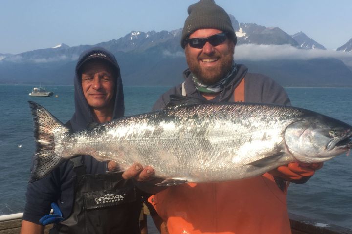 King salmon being held by captain paul Millers Landing Seward Alaska Beach Seaside