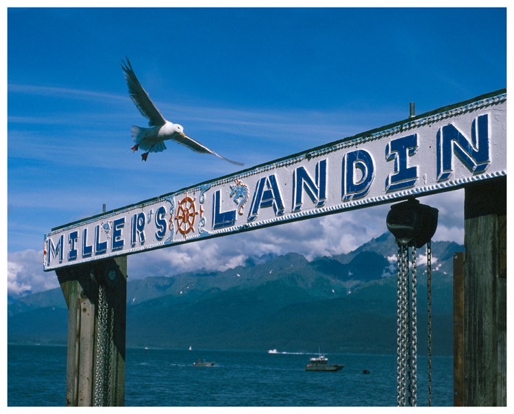 The Millers Landing sign above a body of water Millers Landing Seward Alaska Beach Seaside