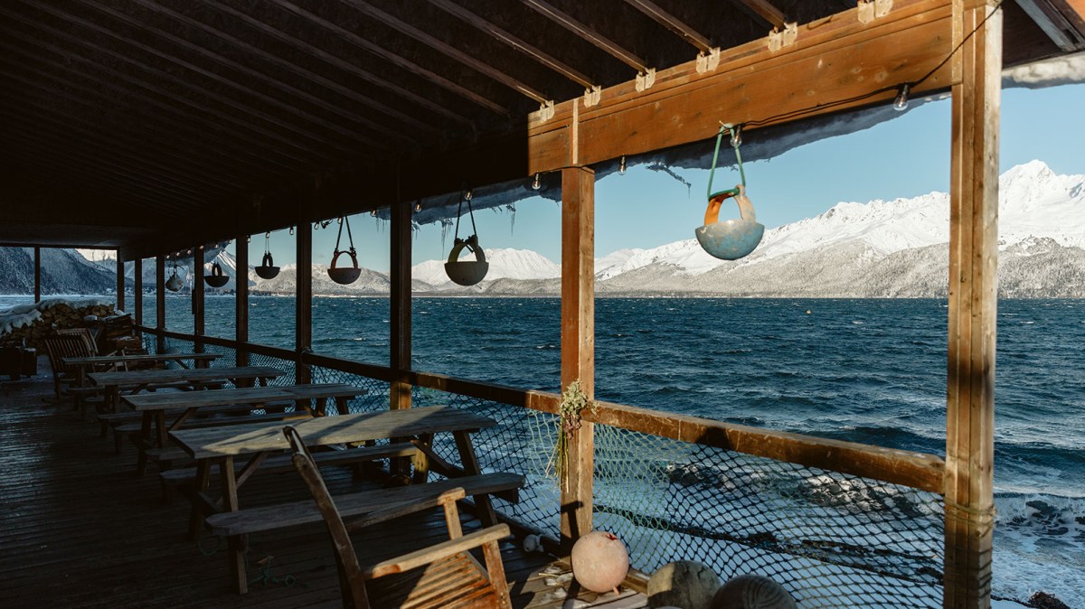 Seward Alaska Kayaking Fishing Lodging Camping Guided Trips