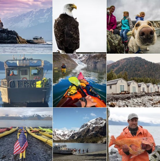 Miller's Landing | Seward, Alaska Lodging, Fishing, & Kayaking